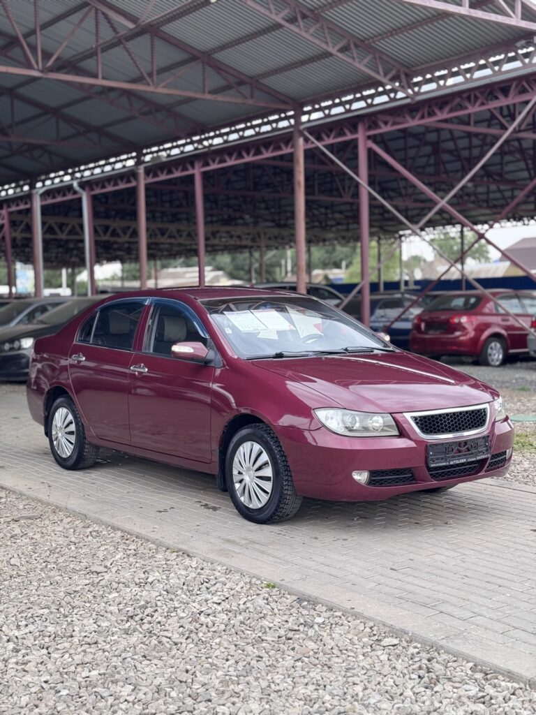 Lifan Solano, 2010