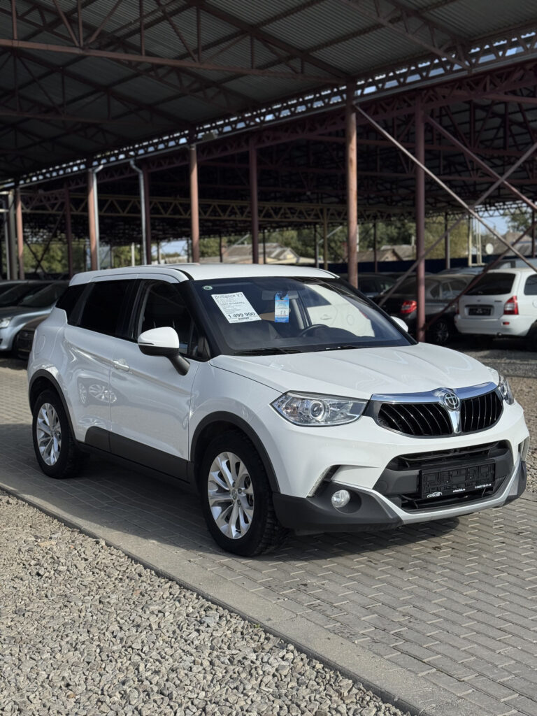 Brilliance V3 2019 г.